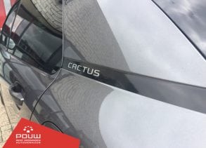 Citroën C4 Cactus PureTech 110 S&S Feel (nieuwste model)